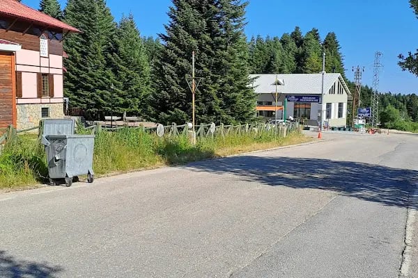 Karinna Orman Koskleri - Resim 19