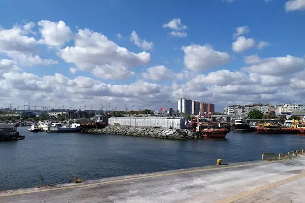 Zeyport Liman İşletmeleri - Resim 9
