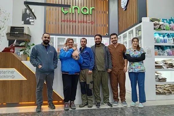 Çınar Veteriner Polikliniği - Resim 8