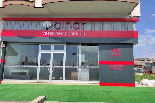 Çınar Veteriner Polikliniği - Resim 16