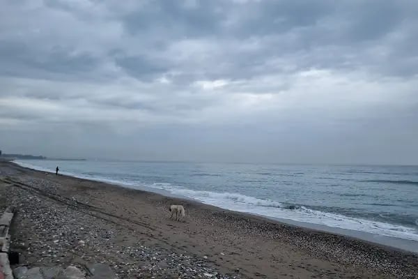 Liparis 4 Akdeniz Evleri - Resim 7