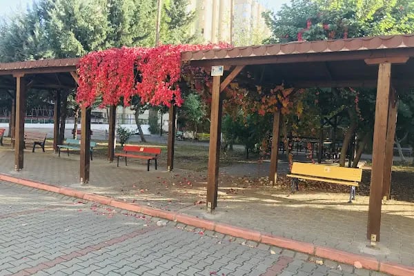 Abbas-Sıdıka Çalık Anadolu Lisesi - Resim 8