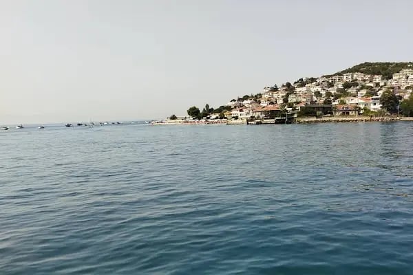 Büyükada Perşembe Pazarı - Resim 2