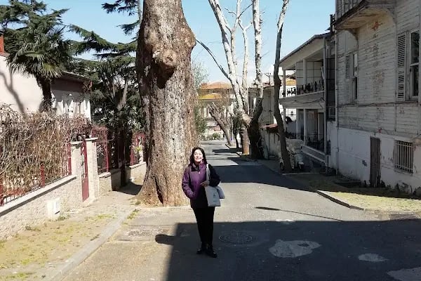Büyükada Perşembe Pazarı - Resim 8