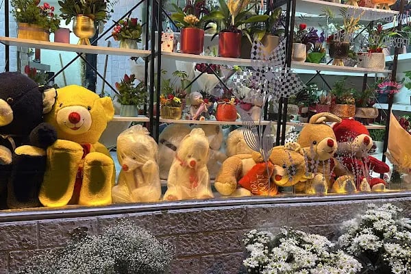 ÇİÇEKÇİ BAYRAKLI 7/24 - Resim 9