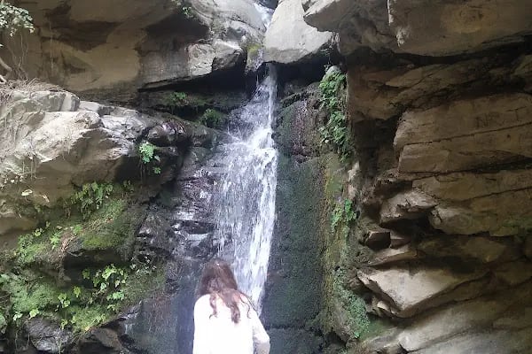 Bodrum Belediyesi Sokak Hayvanları Geçici Bakım Merkezi - Resim 8