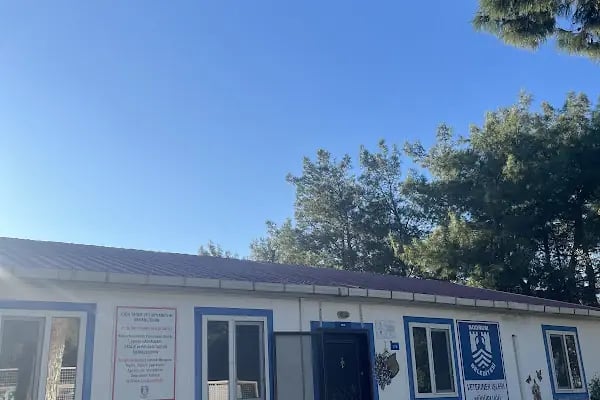 Bodrum Belediyesi Sokak Hayvanları Geçici Bakım Merkezi - Resim 16