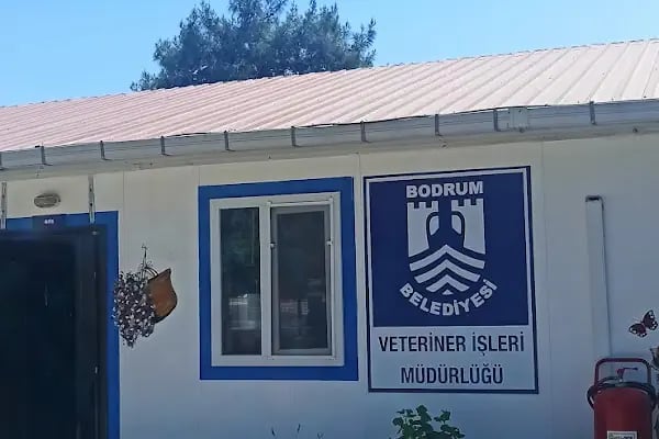 Bodrum Belediyesi Sokak Hayvanları Geçici Bakım Merkezi - Resim 5