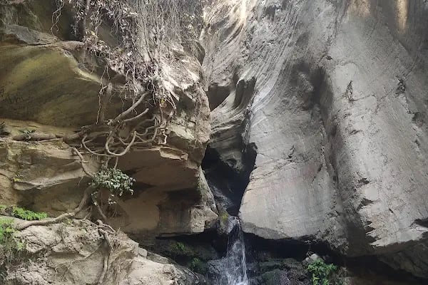 Bodrum Belediyesi Sokak Hayvanları Geçici Bakım Merkezi - Resim 3