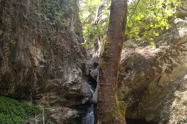 Bodrum Belediyesi Sokak Hayvanları Geçici Bakım Merkezi - Resim 12