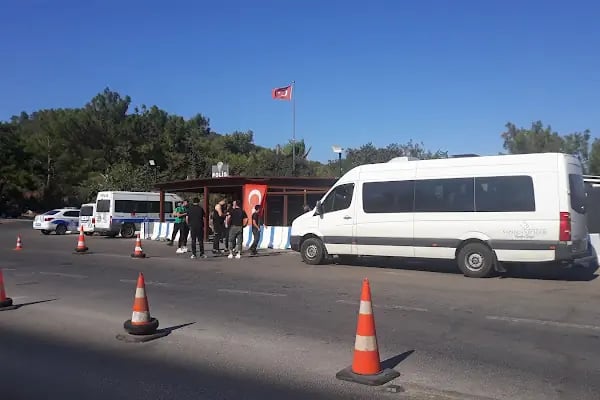 Bodrum Belediyesi Sokak Hayvanları Geçici Bakım Merkezi - Resim 11