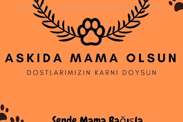 MADAM GODİ PETSHOP - Resim 18