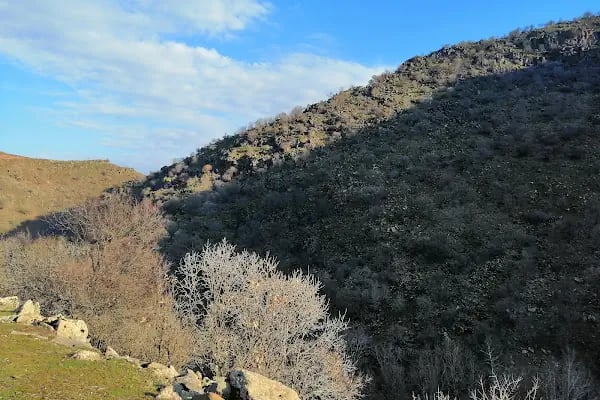 Miyalan-yabanardi-koyu Şelalesi - Resim 18