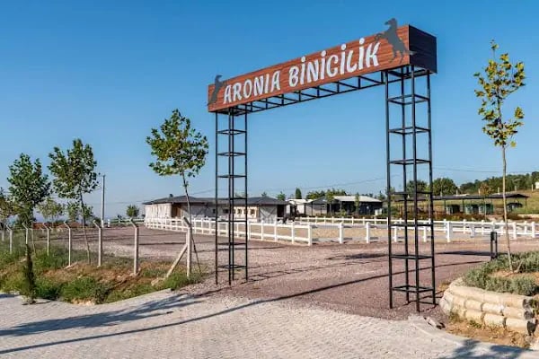 Aronia Bungalow - Resim 12