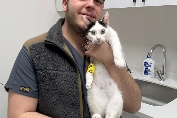 Vega Veteriner Kliniği - Resim 15