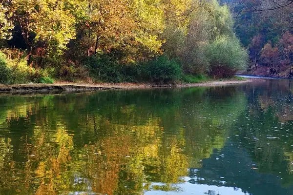 İPEKBÖCEĞİ PARK - Resim 7