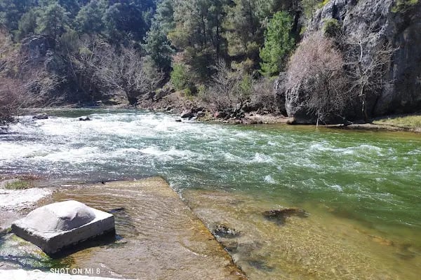 İPEKBÖCEĞİ PARK - Resim 18