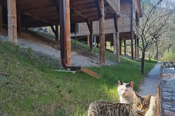 İPEKBÖCEĞİ PARK - Resim 20