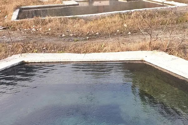 İPEKBÖCEĞİ PARK - Resim 15