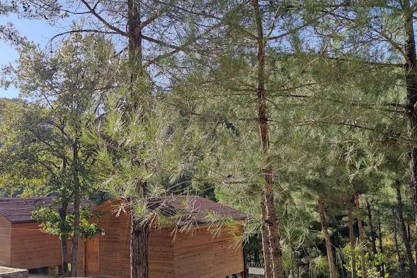 İPEKBÖCEĞİ PARK - Resim 19