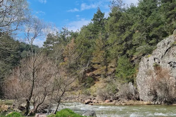 İPEKBÖCEĞİ PARK - Resim 14