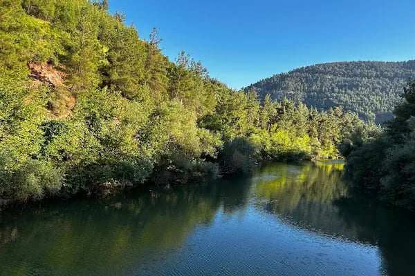 İPEKBÖCEĞİ PARK - Resim 11