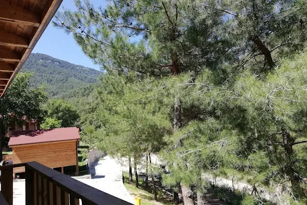 İPEKBÖCEĞİ PARK - Resim 12