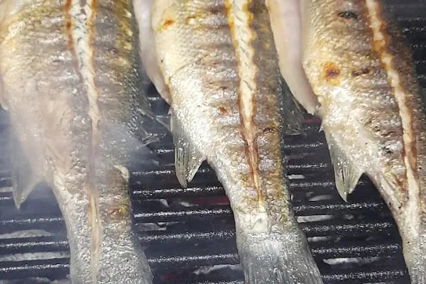 Ovacık Aile Restoranı - Resim 12