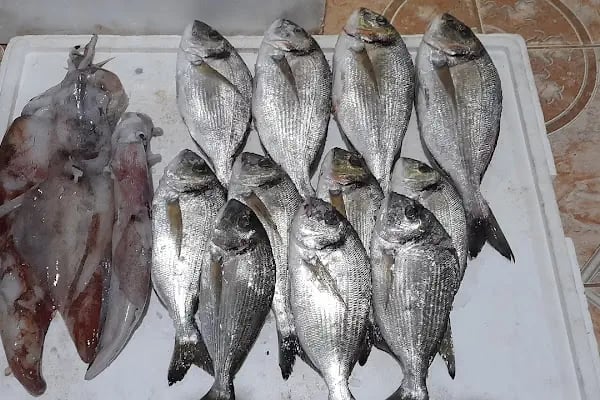 Ovacık Aile Restoranı - Resim 18