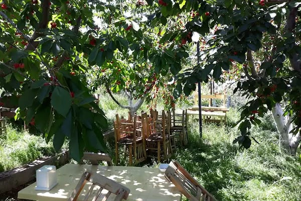 Yoldaşlar Restaurant Ovacık - Resim 1