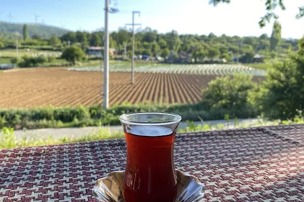 Yoldaşlar Restaurant Ovacık - Resim 11