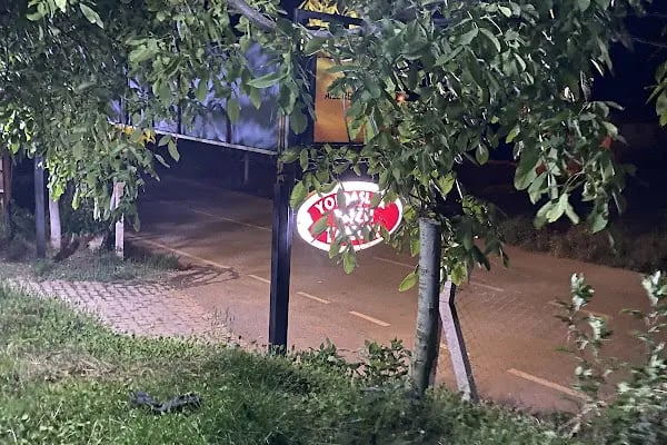 Yoldaşlar Restaurant Ovacık - Resim 13