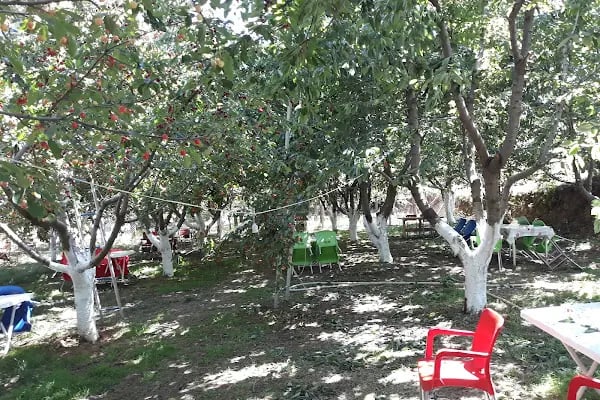 Yoldaşlar Restaurant Ovacık - Resim 3