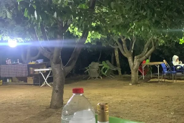 Yoldaşlar Restaurant Ovacık - Resim 16