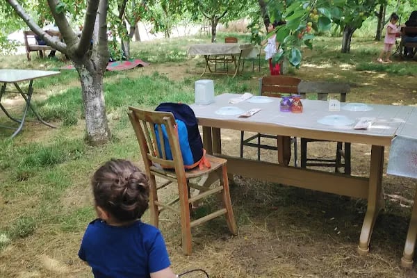Yoldaşlar Restaurant Ovacık - Resim 7