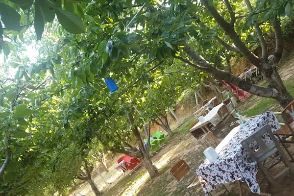 Yoldaşlar Restaurant Ovacık - Resim 5