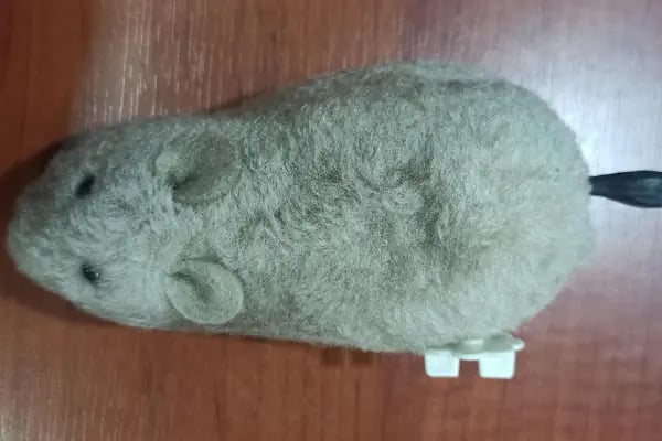 METE PET SHOP - Resim 18