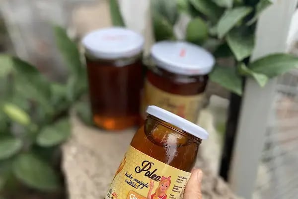 POLEA NATURAL - Resim 18