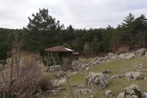 Görecik Yaylası Piknik Alanı - Resim 17