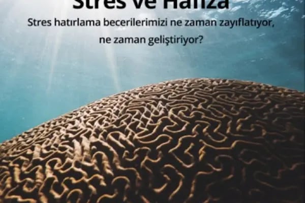Diyarbakır Psikolog Murat Özdağ - Resim 12