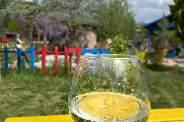 DÜŞ YOLCUSU AT ÇİFTLİGİ - Resim 20