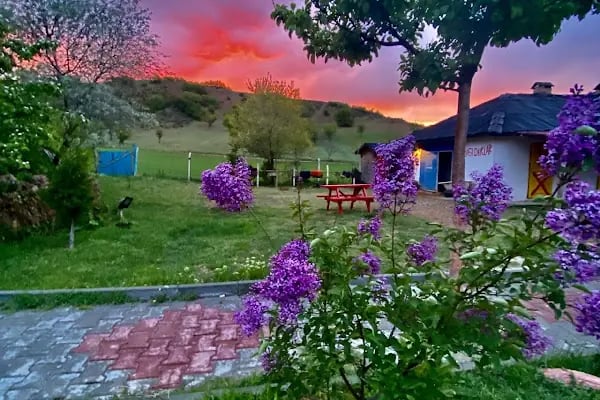 DÜŞ YOLCUSU AT ÇİFTLİGİ - Resim 1
