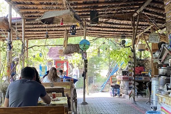 DÜŞ YOLCUSU AT ÇİFTLİGİ - Resim 12