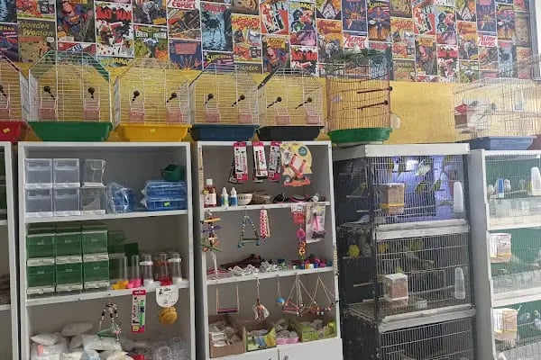 ASYA PETSHOP GAZİANTEP - Resim 10