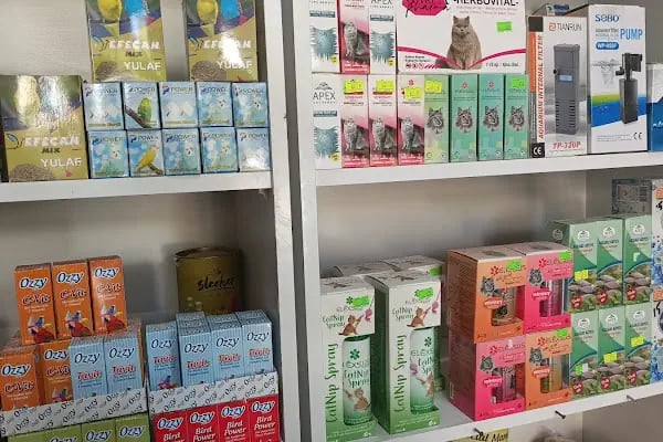 ASYA PETSHOP GAZİANTEP - Resim 15