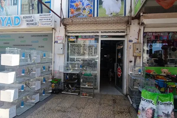 ASYA PETSHOP GAZİANTEP - Resim 4