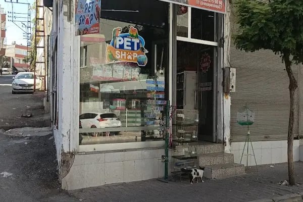 ASYA PETSHOP GAZİANTEP - Resim 16