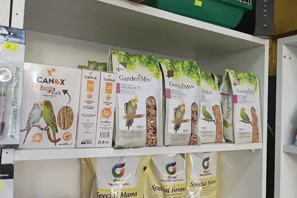 ASYA PETSHOP GAZİANTEP - Resim 18