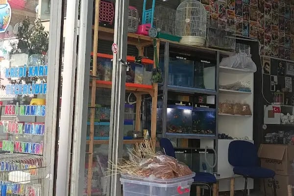 ASYA PETSHOP GAZİANTEP - Resim 5