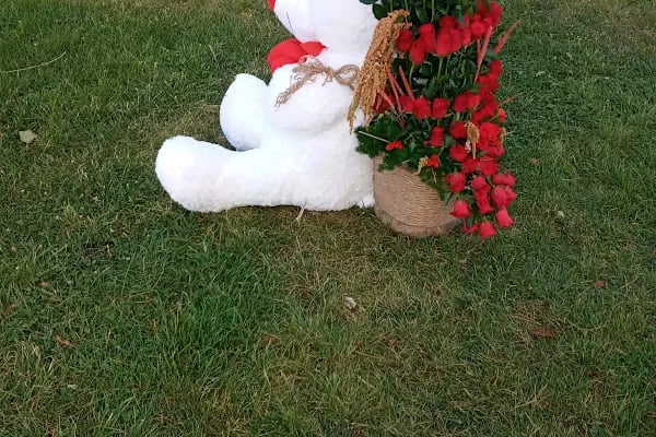 Ankara Love Garden Çiçekçilik - Resim 12